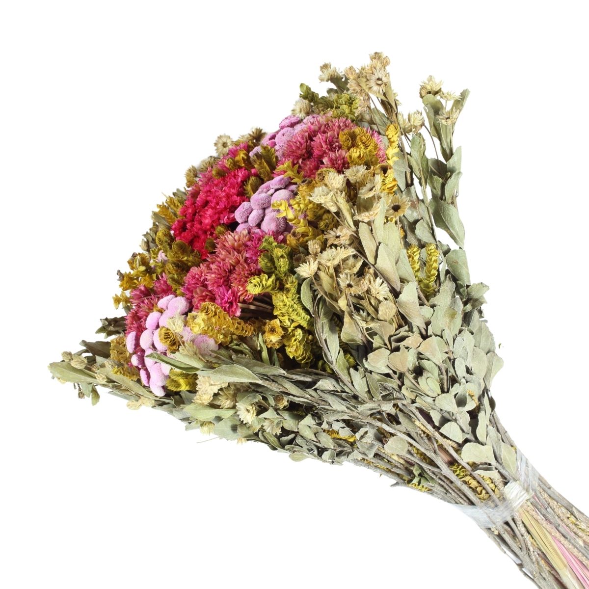 Buquê Preservado Rústico Colorido n5