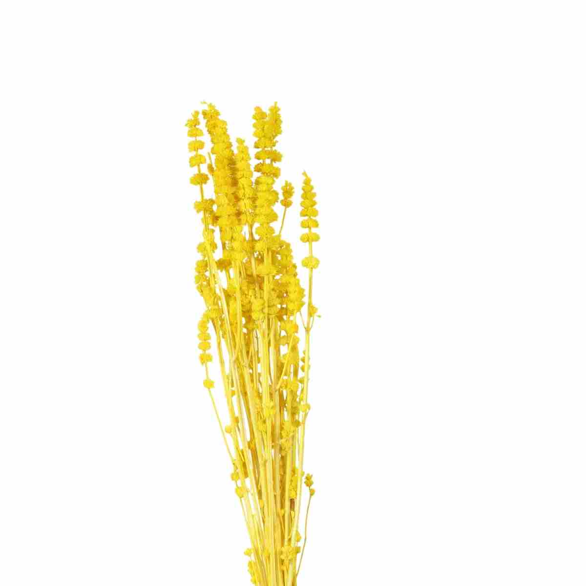 Rubi Amarelo Desidratado