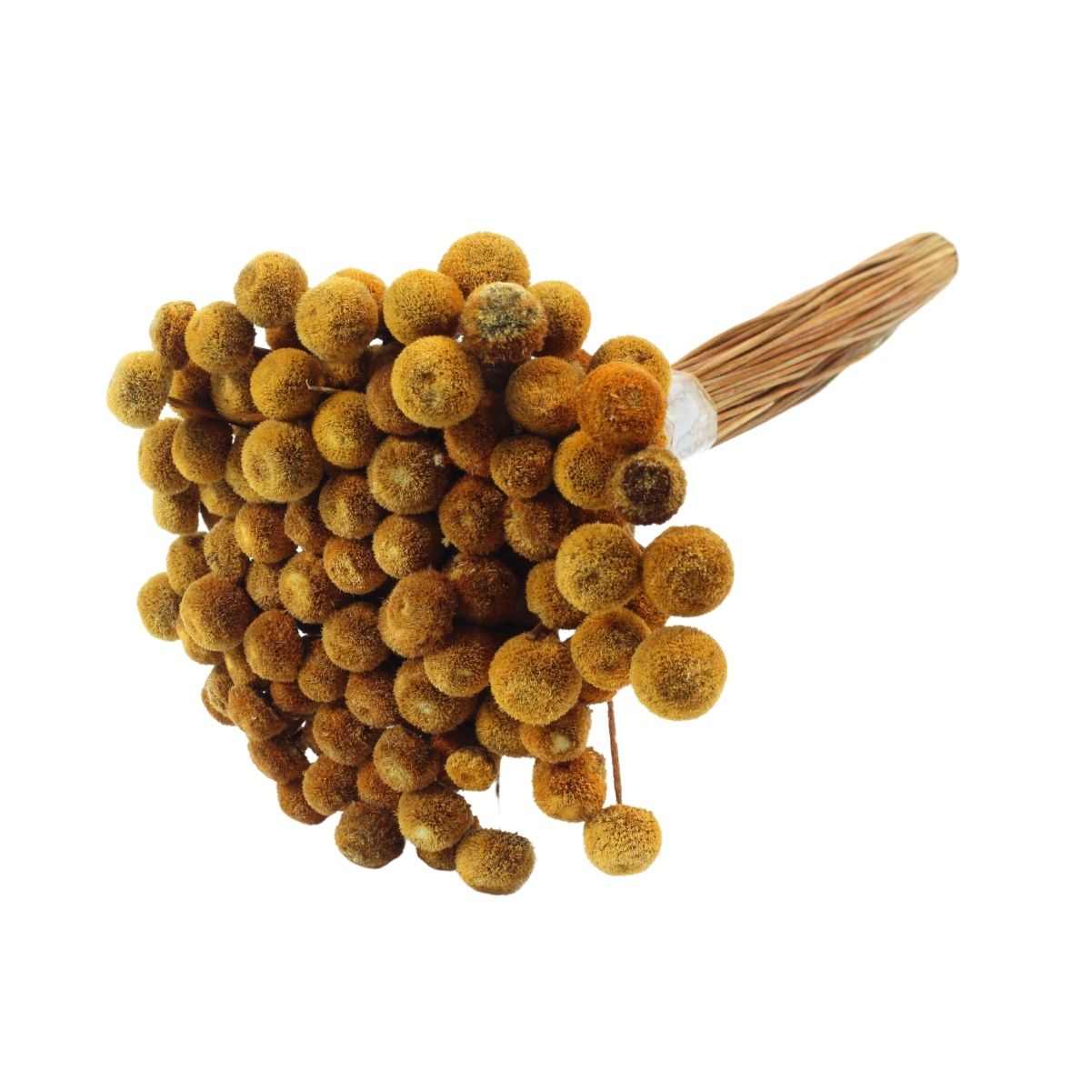 Planta Seca Botão Branco Laranja 40cm