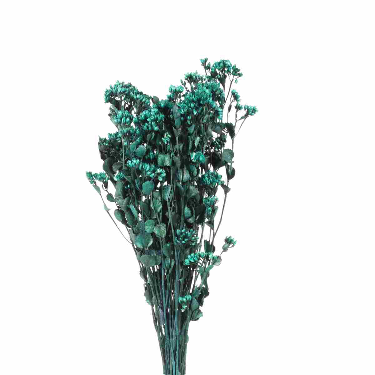 Chuvisco Verde Desidratado