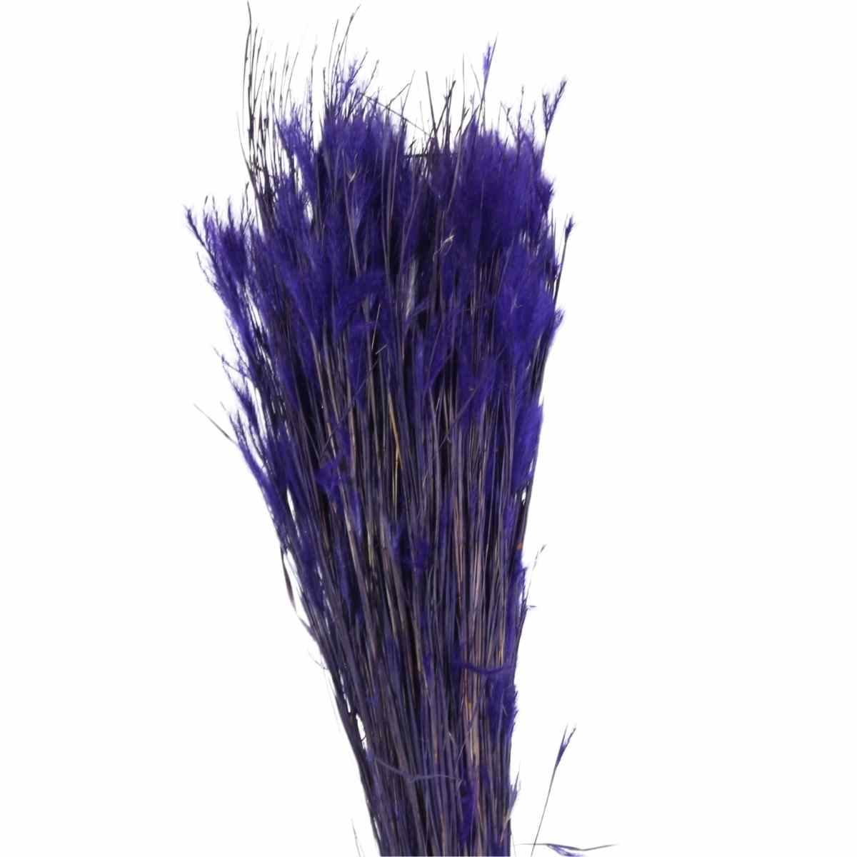 Pluminha Roxo Flor Desidratada Buque Flores Secas