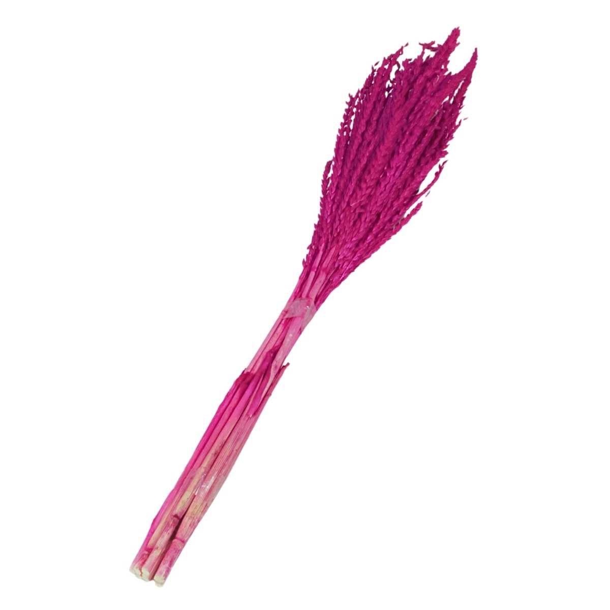 Planta Seca Flor de Milho Pink 60 cm