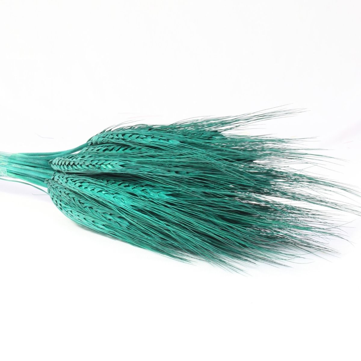 Planta Seca Trigo Colorido Verde 50cm