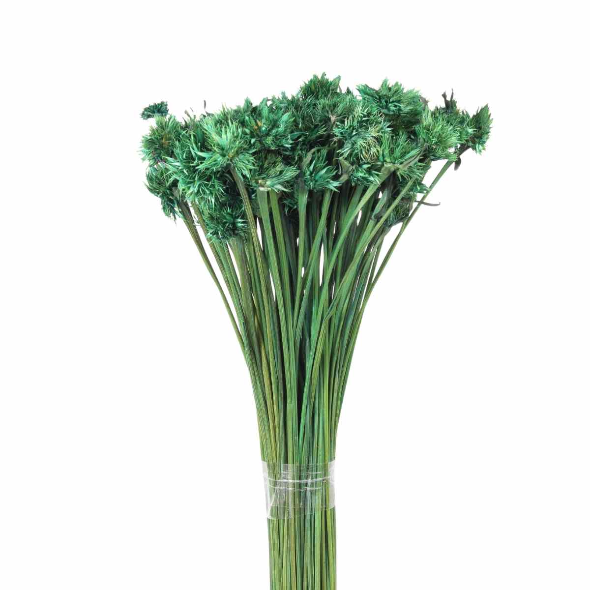 Cebolão Verde Desidratado