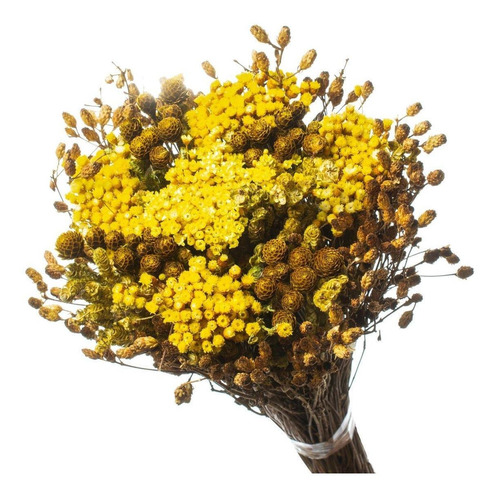 Buquê Preservado Rústico Colorido n1