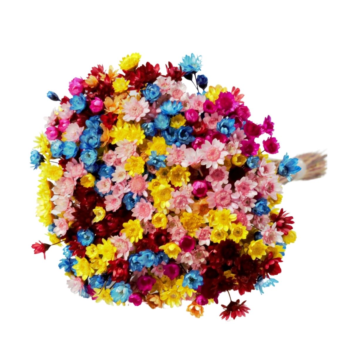 Planta Seca Sempre Viva Mix Colorido 30cm