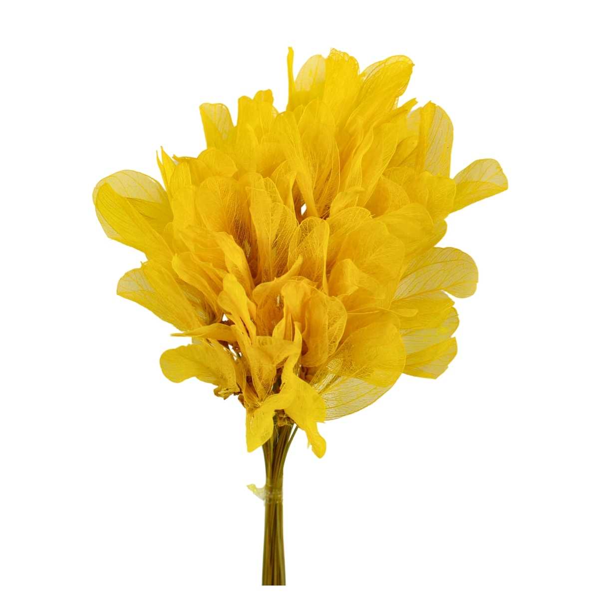 Planta Seca Folha Asa de Barata Amarelo 50cm