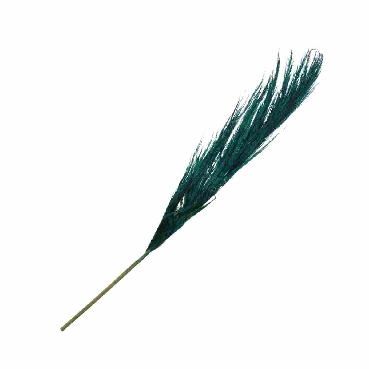 Capim Dos Pampas 90cm - Verde (Haste)