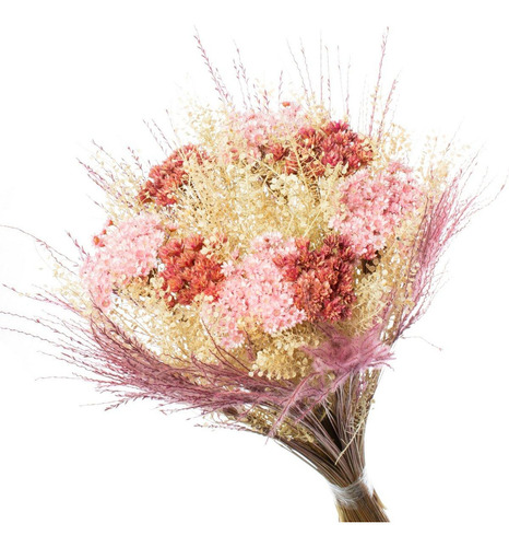 Buque Flor Seca Desidratada sementinha Rosa Bebe Decorar