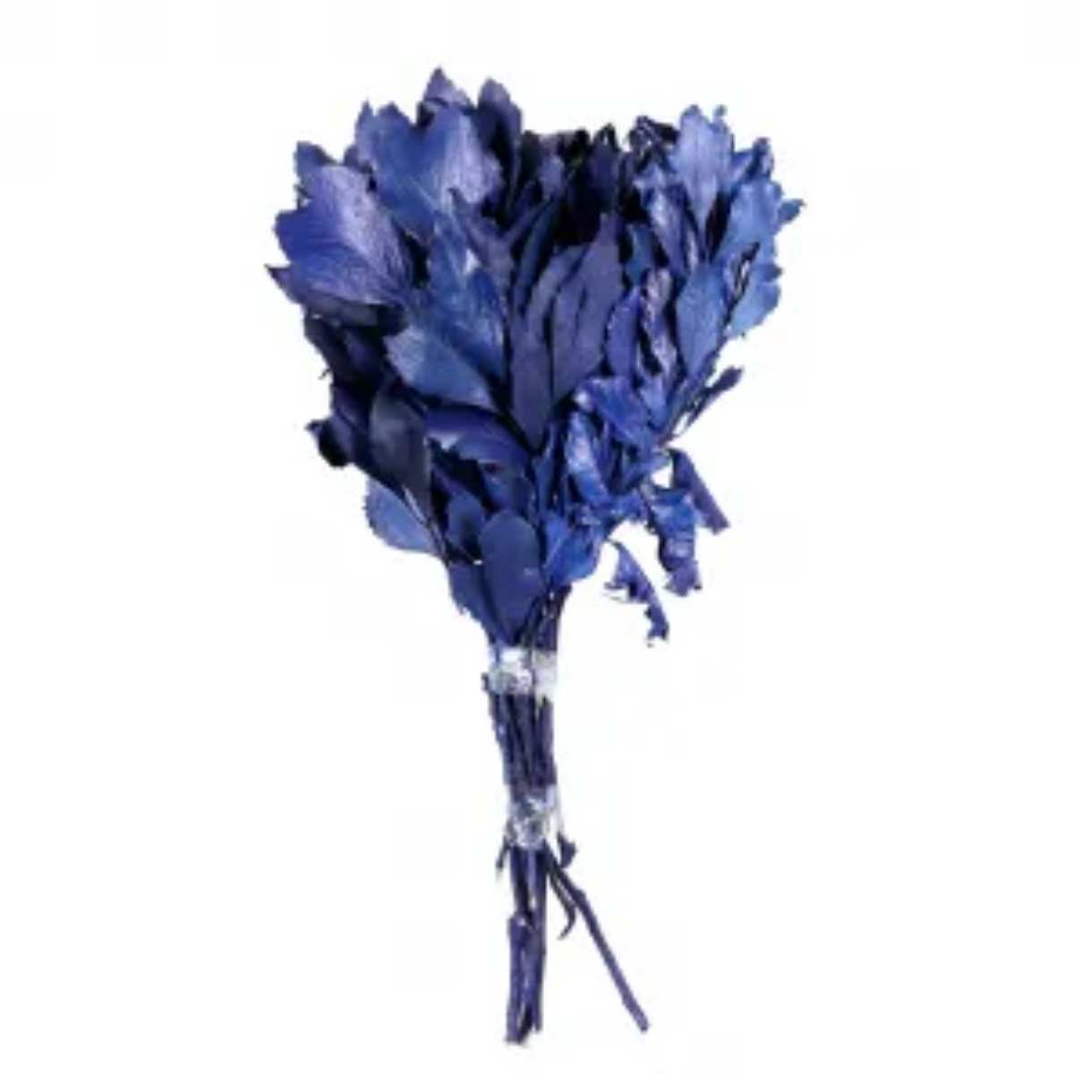 Planta Seca Carne de Vaca Azul 50cm