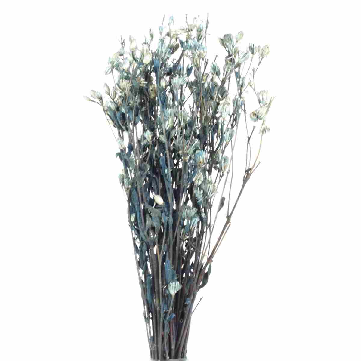 Planta Seca Romo Roxo Azul 50cm