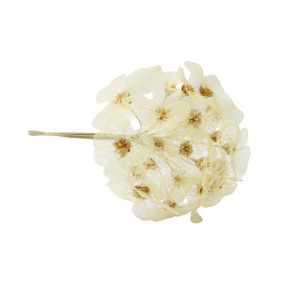 Moedinha no Espeta Rendada