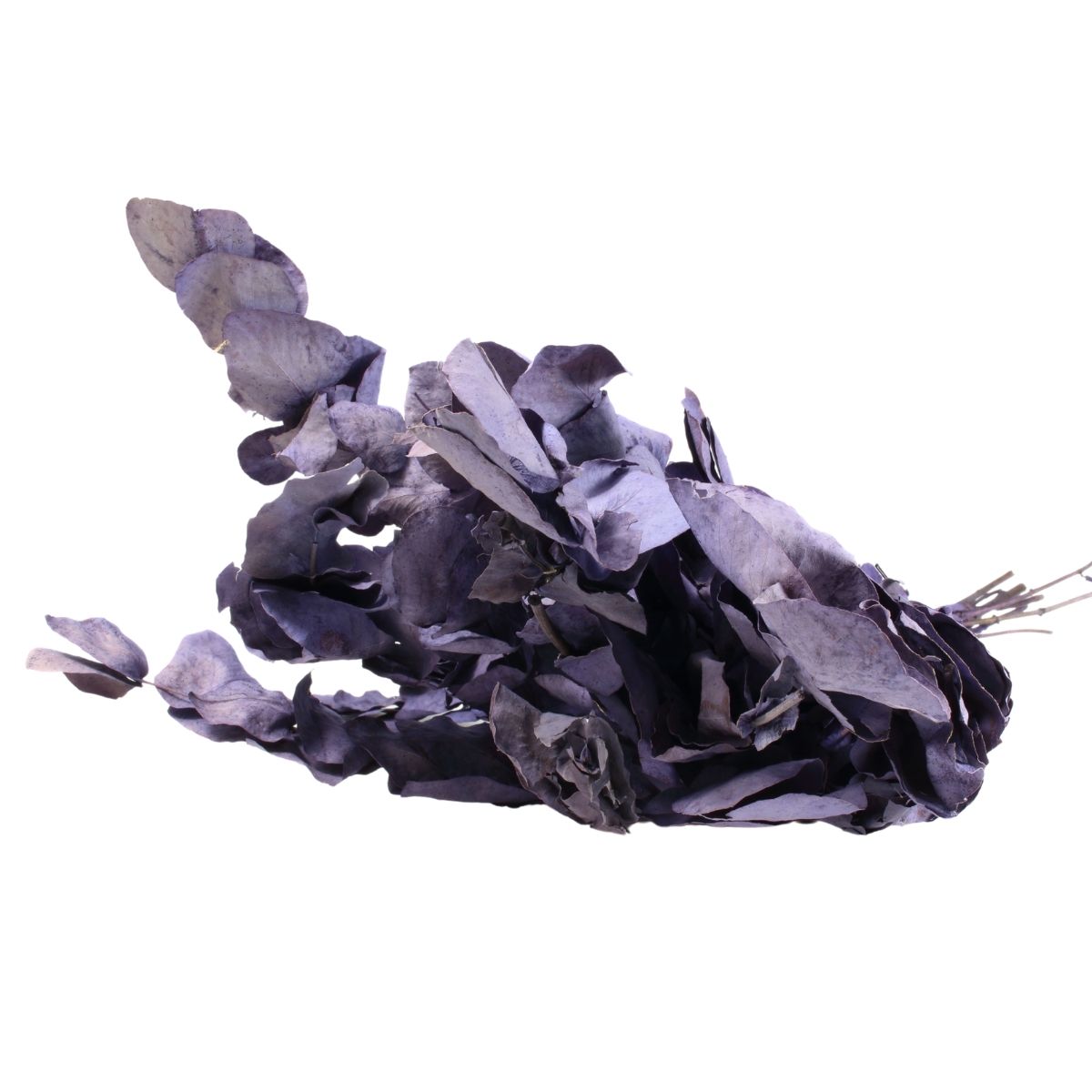 Planta Seca Eucalipto Colorido Lilás 50cm