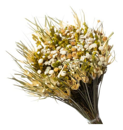 Buque De Flor Seca Estrelinha Presente Decoração - Natural