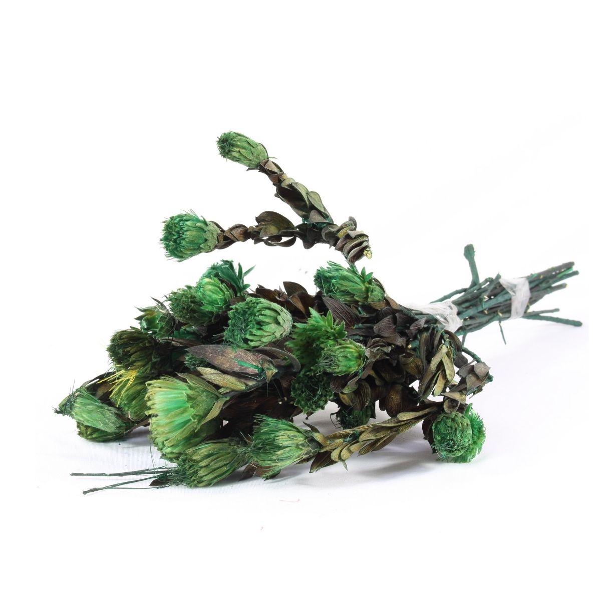 Planta Seca Arapurama Desidratada Verde