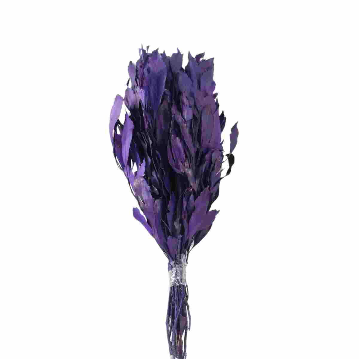 Planta Seca Carne de Vaca Roxa 50cm