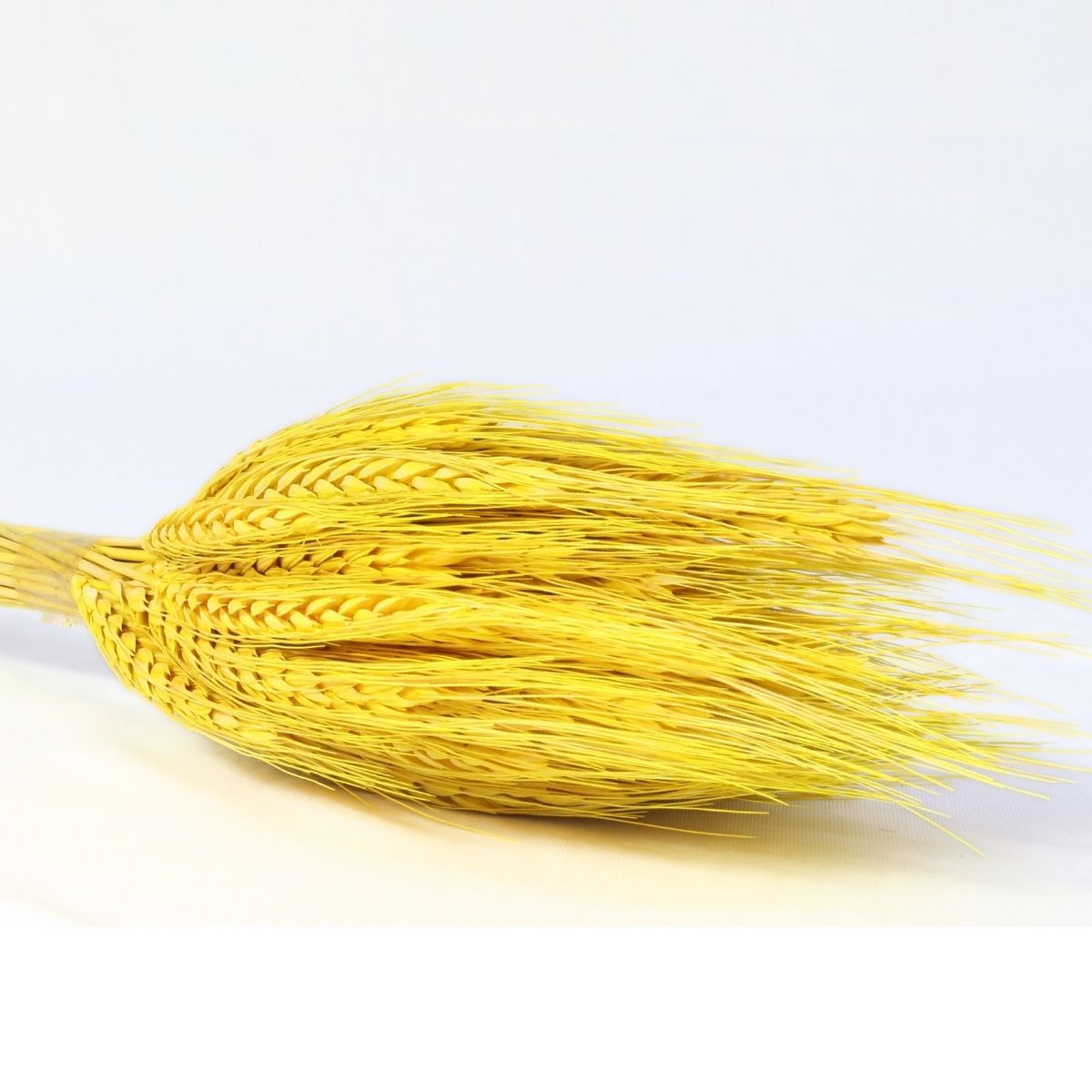 Planta Seca Trigo Colorido Amarelo 50cm