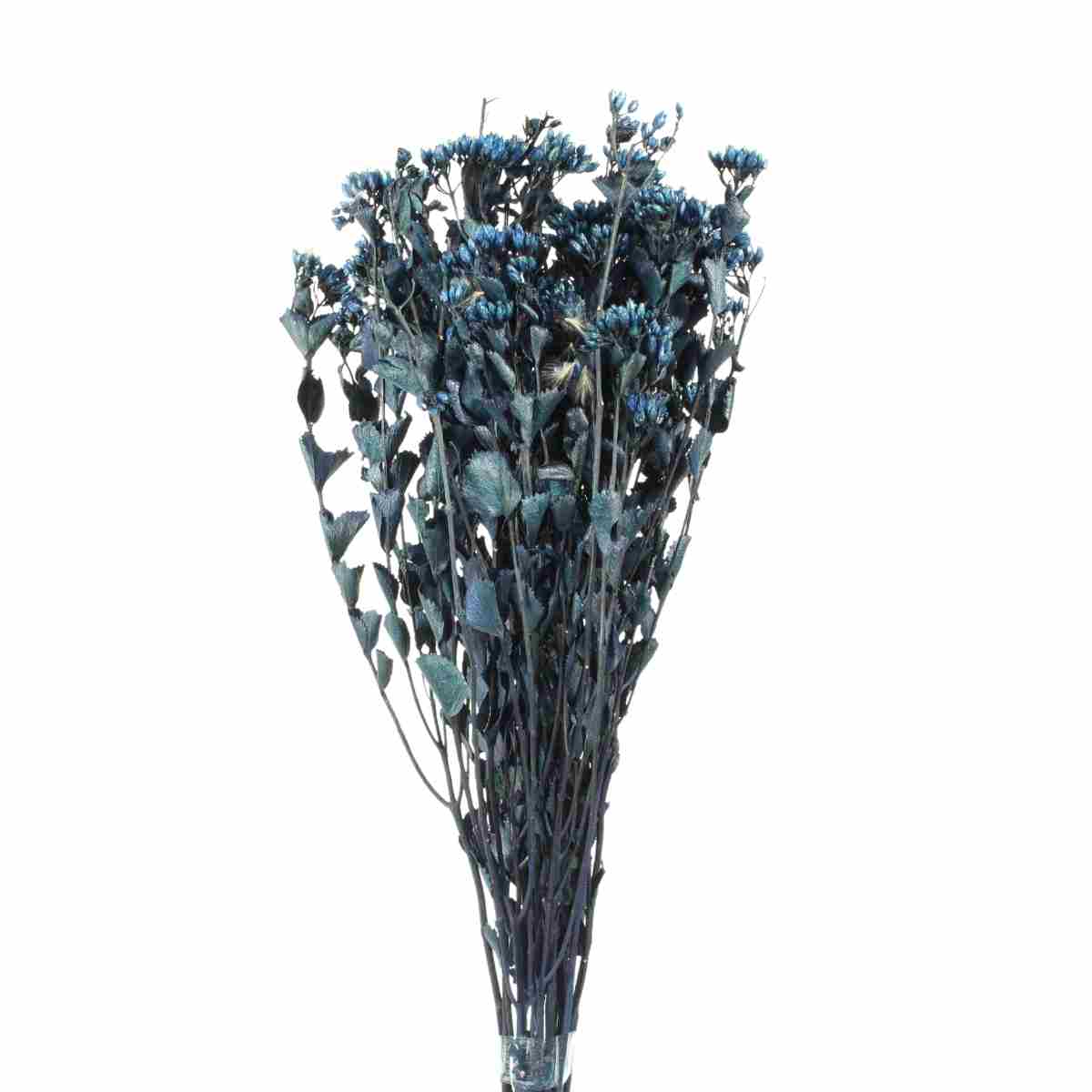 Chuvisco Azul Desidratado