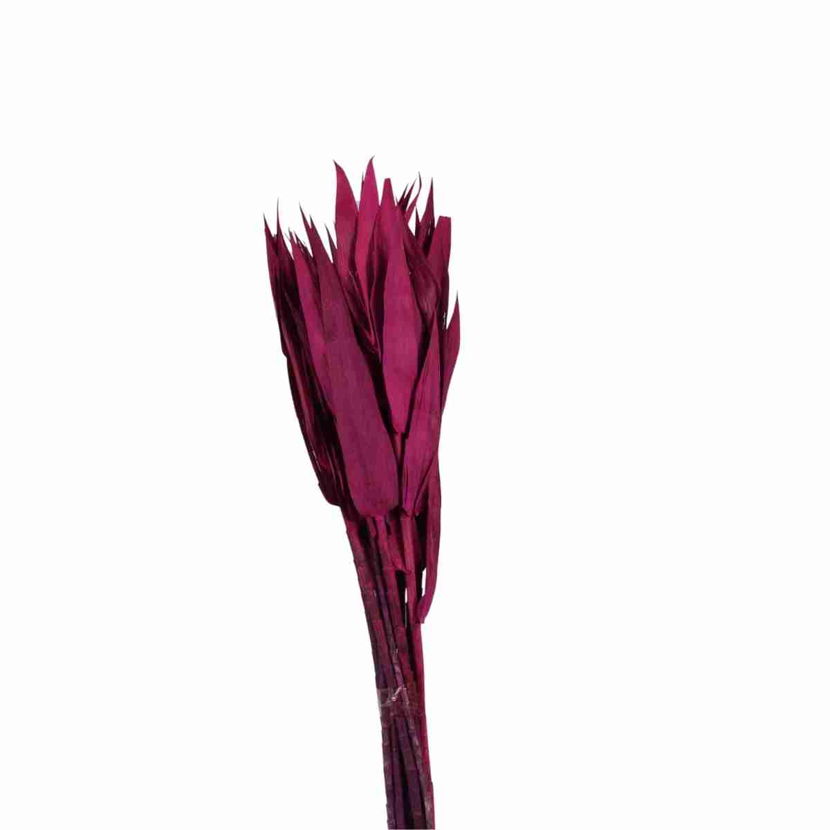 Planta Seca Capim Navalha Pink 55cm