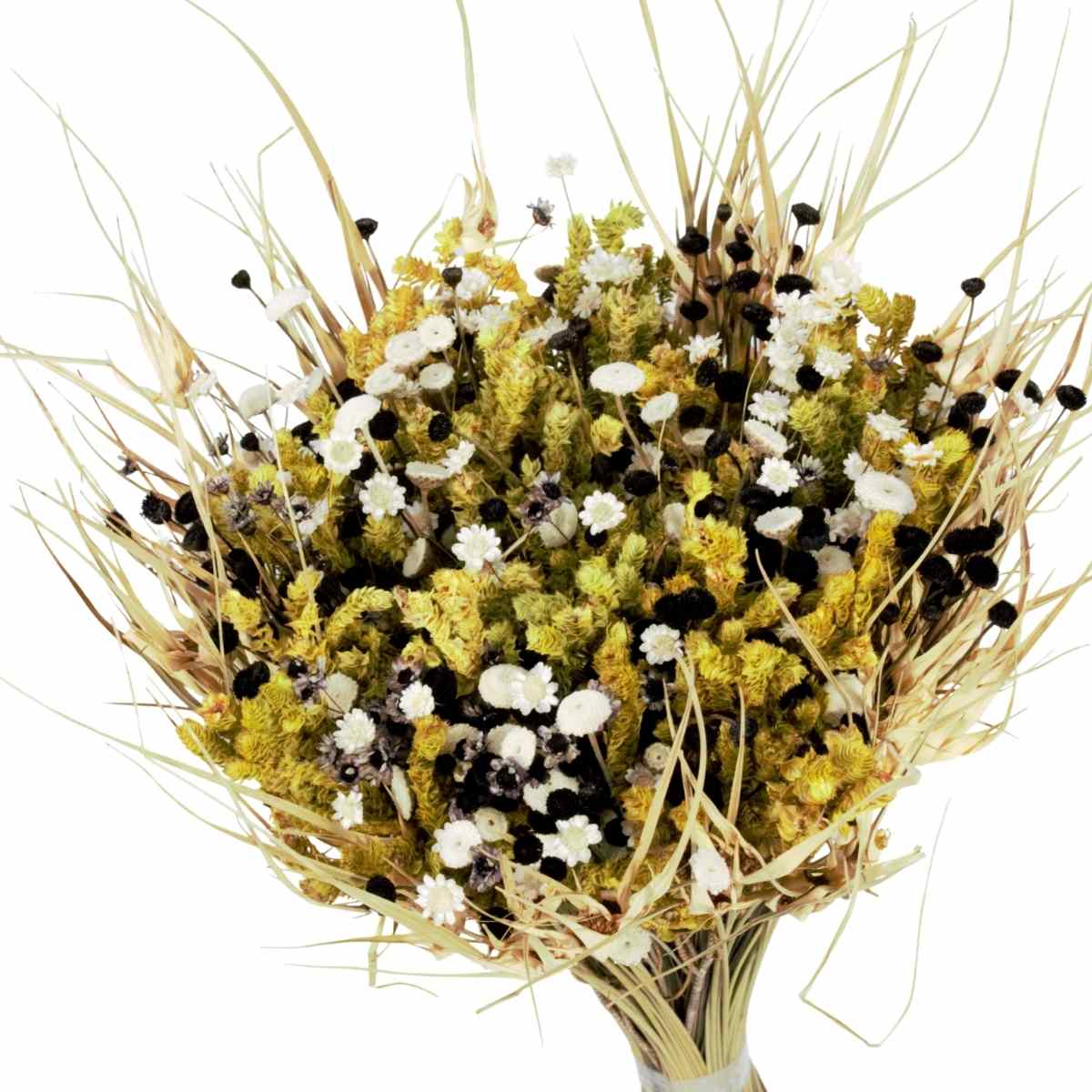 Buque De Flor Seca Estrelinha Presente Decoração - Black