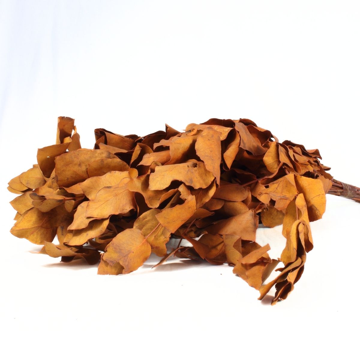 Planta Seca Eucalipto Colorido Laranja 50cm