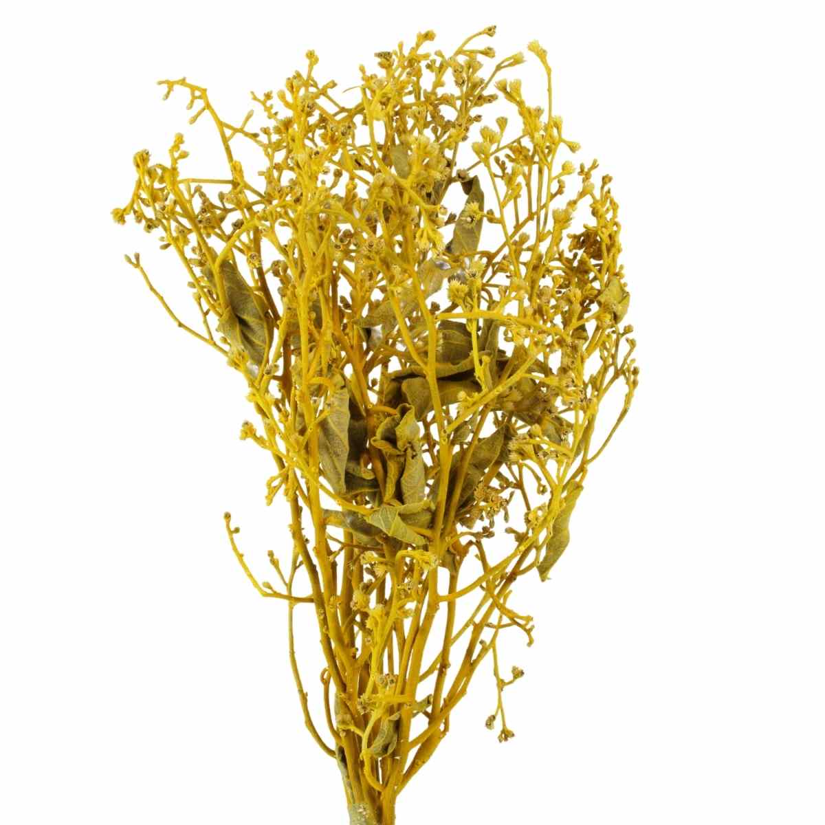 Dedo De Anjo Amarelo Flor Desidratada Buque Flores Secas