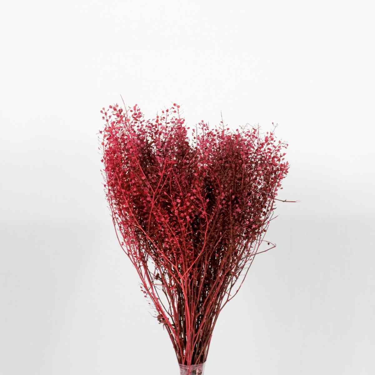 Buquê Sementinha Vermelho