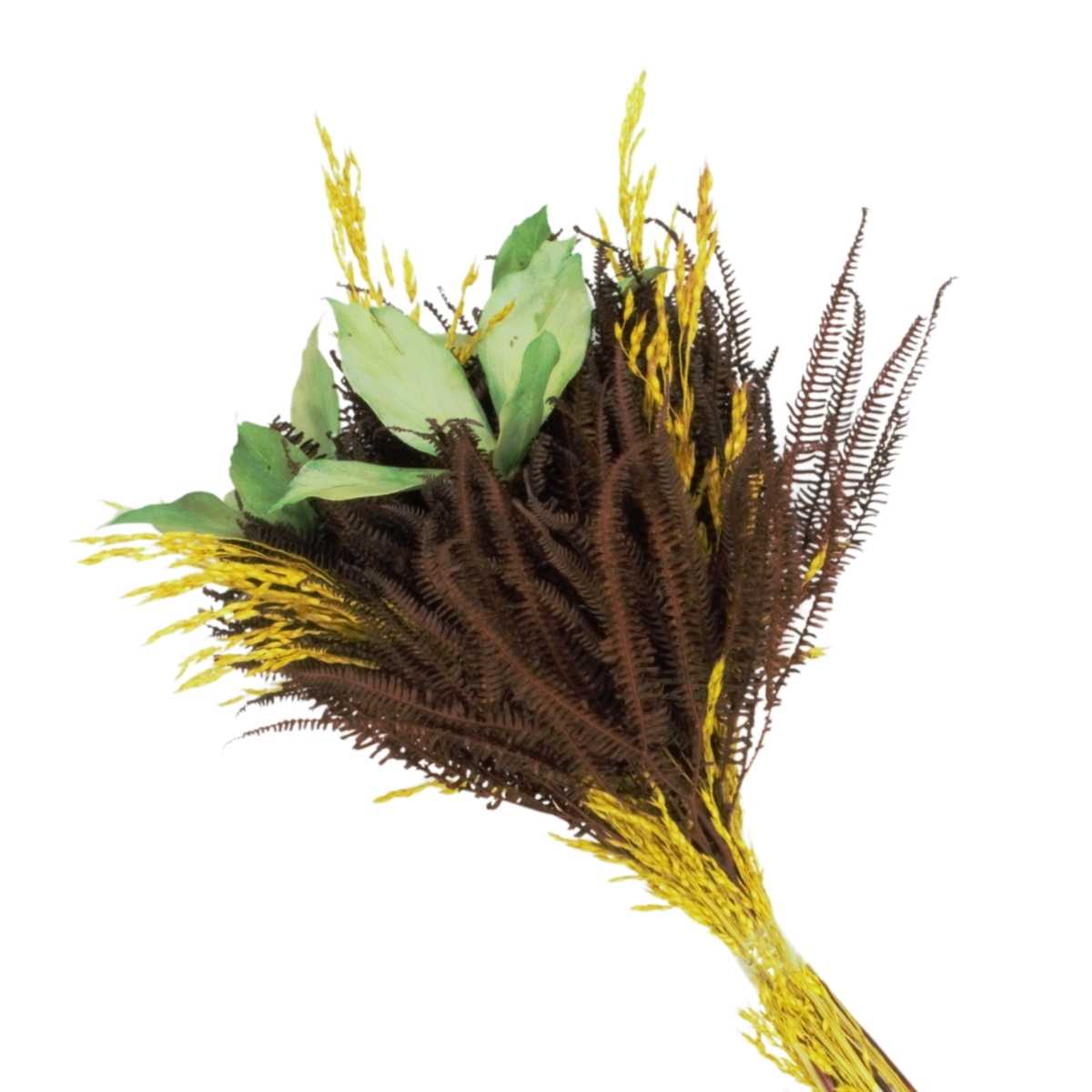 Planta Seca Buquê Abacate 50cm