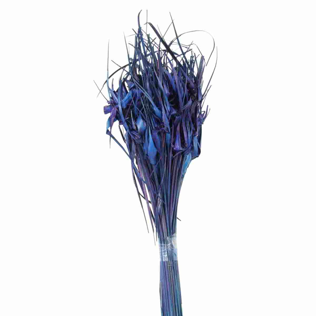 Capim Estrela Roxo Desidratado