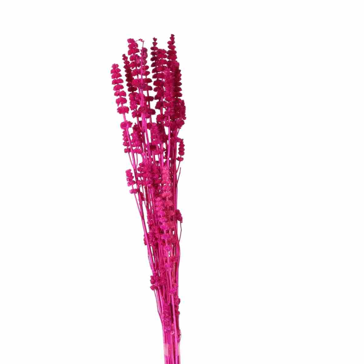 Rubi Pink Desidratado