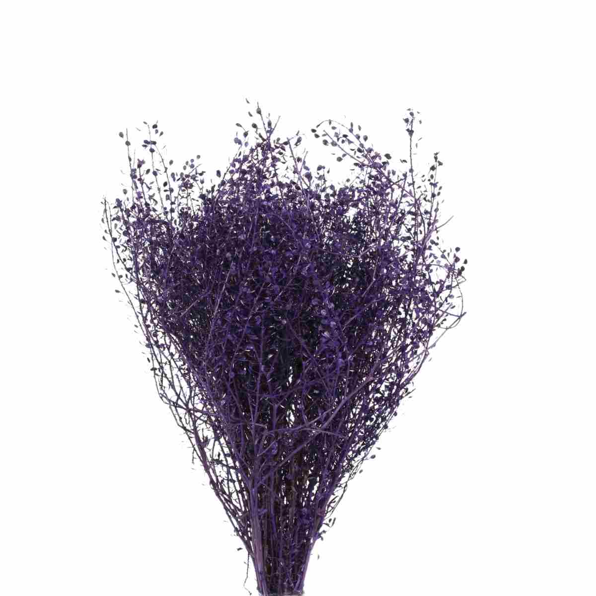 Planta Seca Sementinha Lilás 50cm