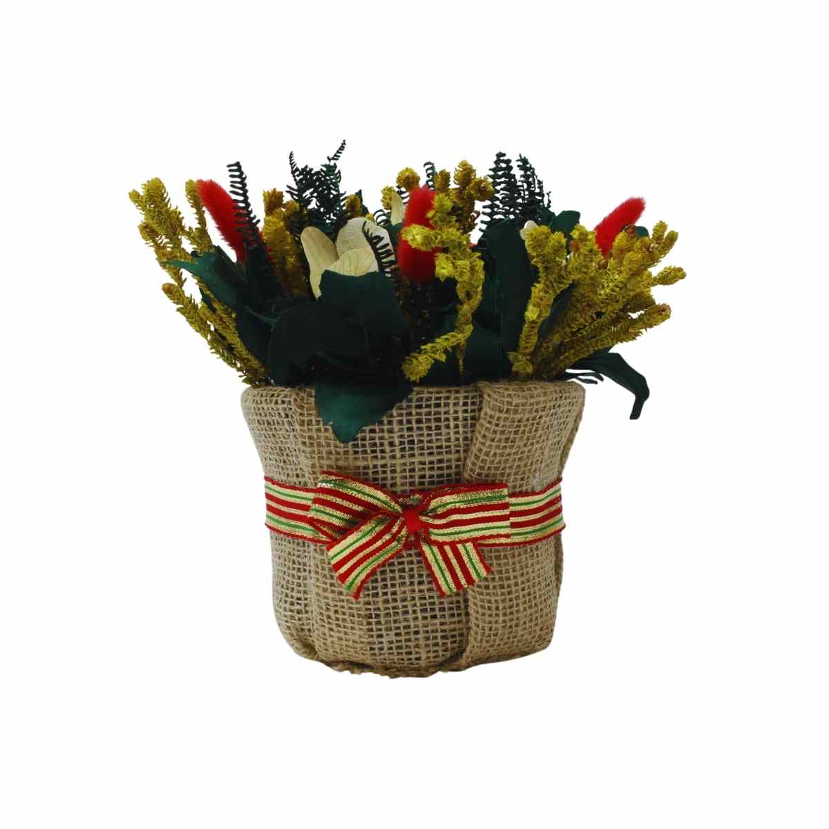 Arranjo em Cachepô Natal do Campo Verde M