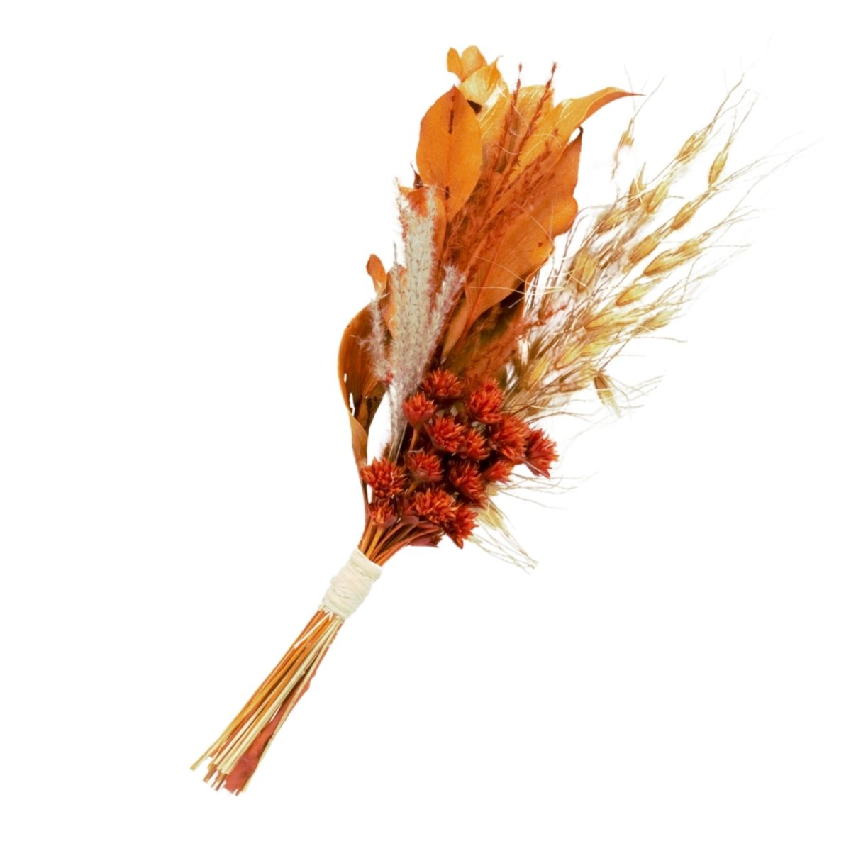 Planta Seca Mini Buquê Variado Laranja 25 cm