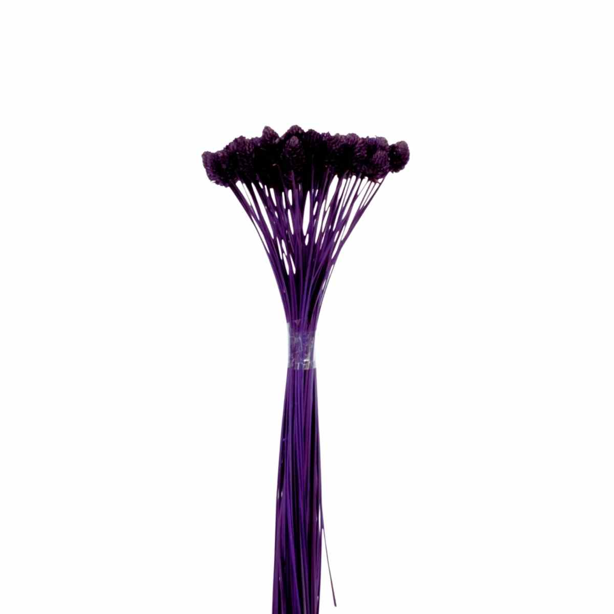 Botão Pimentinha Roxo p/ Decoração