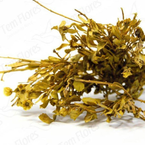 Alecrin Amarelo Desidratado