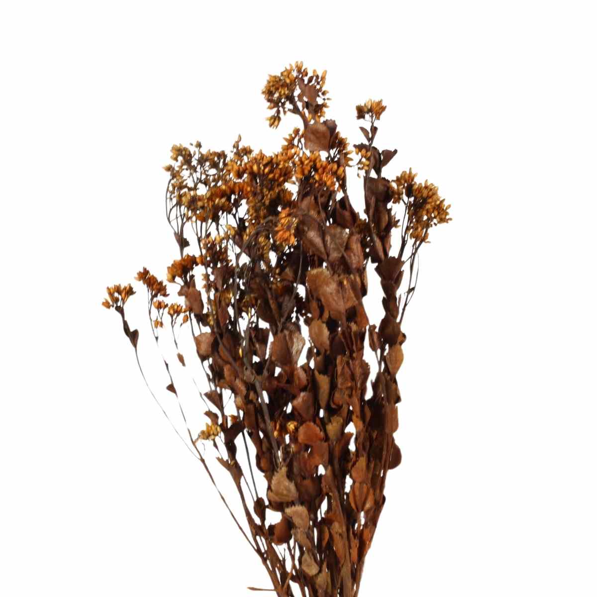 Chuvisco Laranja Desidratado