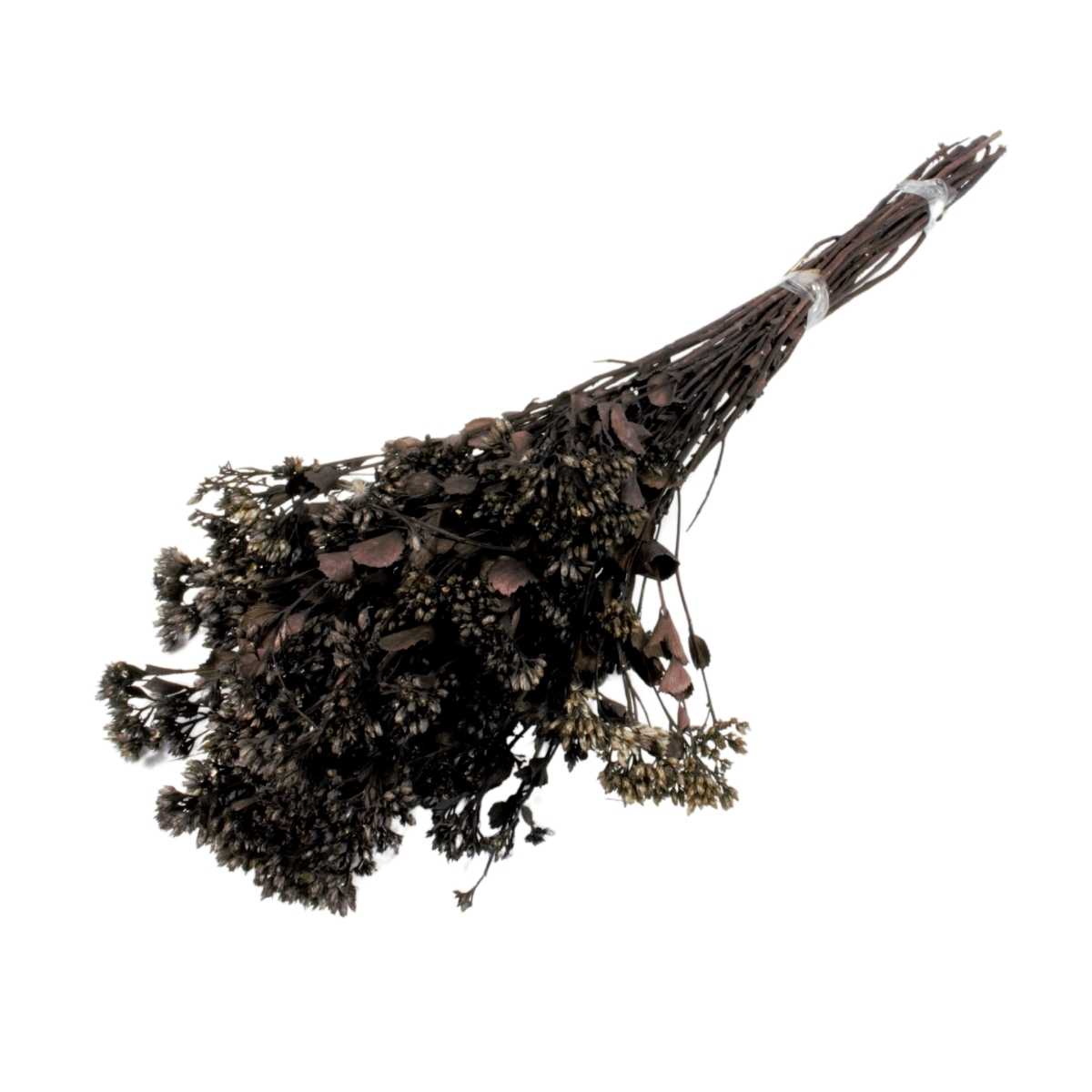 Planta Seca Chuvisco Preto 50 cm