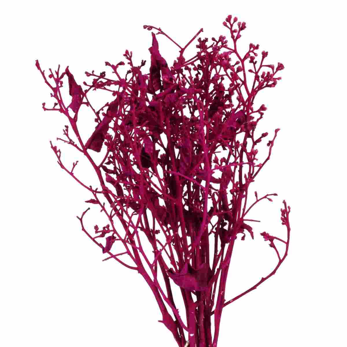 Dedo De Anjo Pink Flor Desidratada Buque Flores Secas