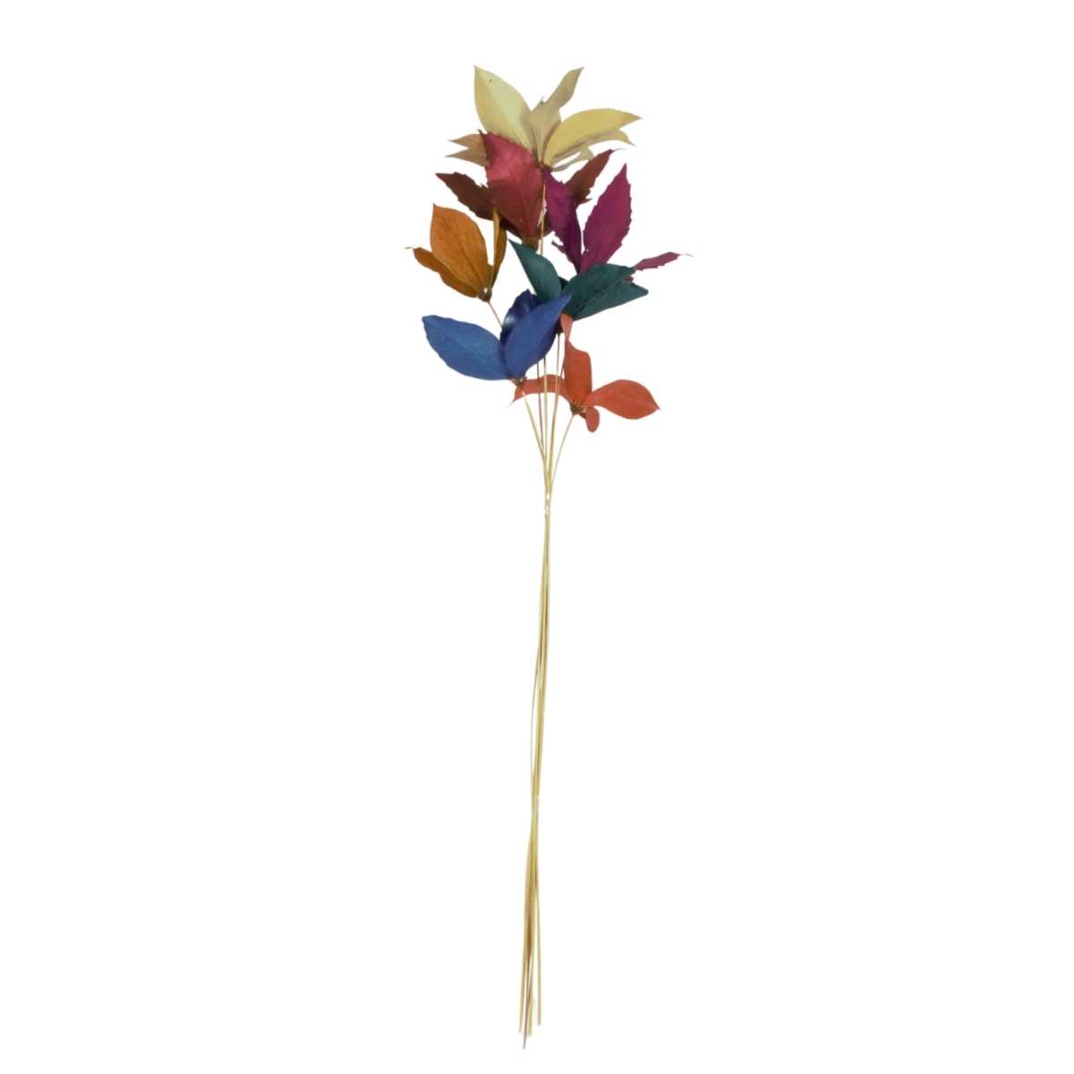 Planta Seca Flor de Carne de Vaca Colorida 60cm