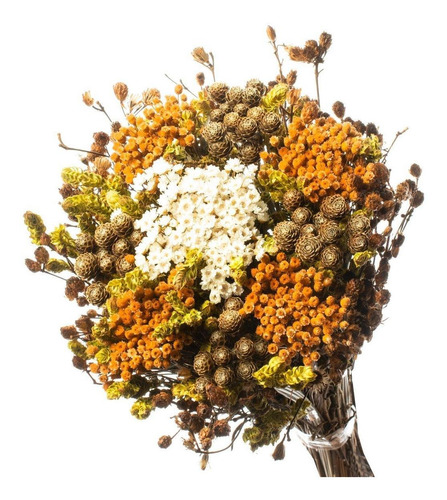 Buquê Preservado Rústico Colorido N7