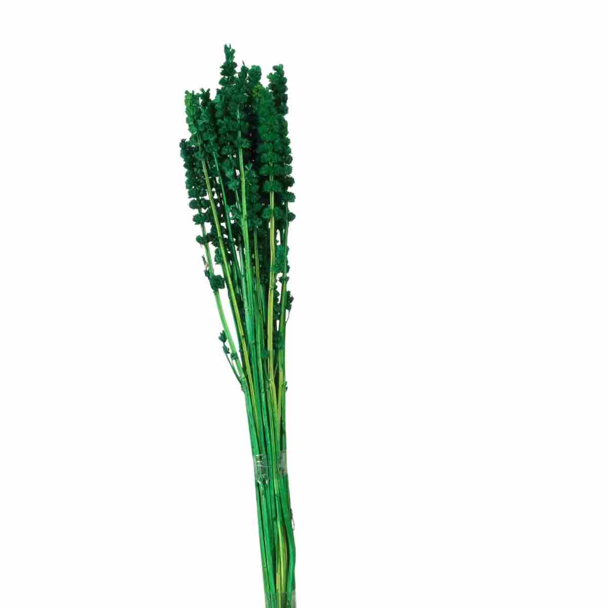 Rubi Verde Desidratado