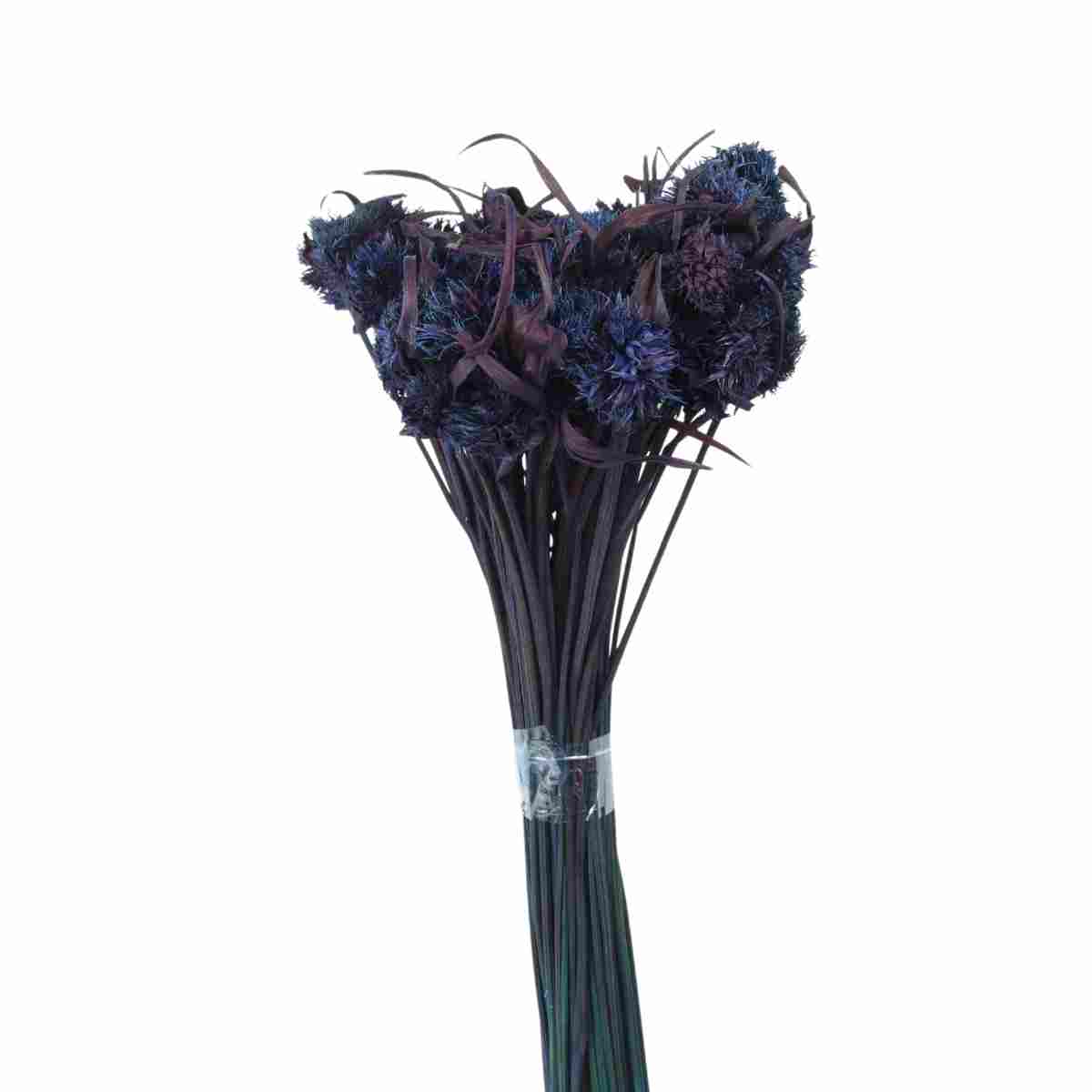 Cebolão Roxo Desidratado