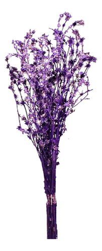 Rosinha Roxo Desidratado