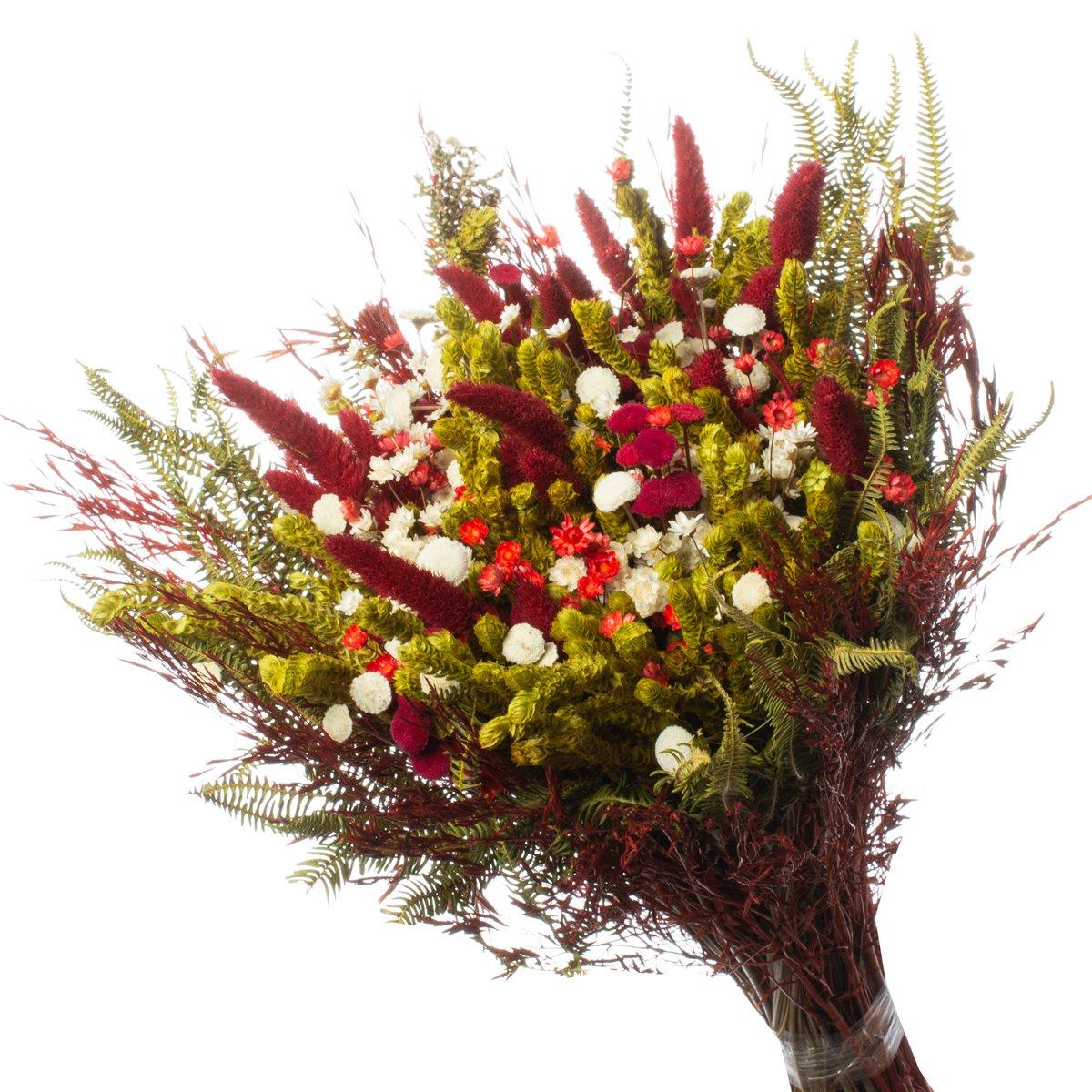 Buque de Flores Secas Rabo de Coelho Gato Vermelha decorar