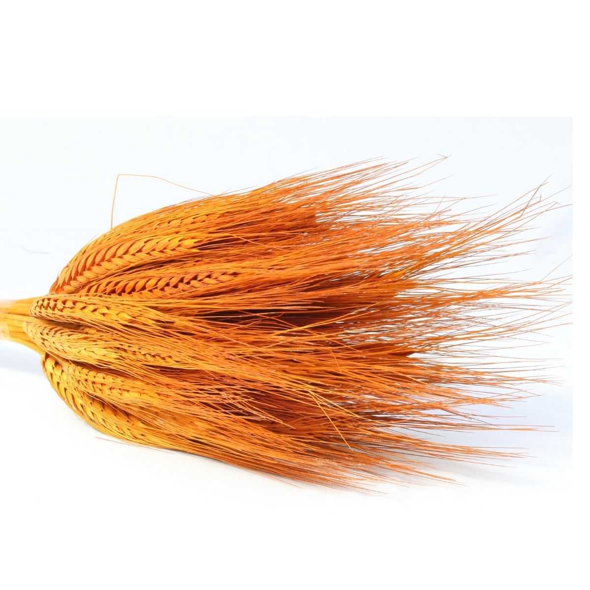 Planta Seca Trigo Colorido Laranja 50cm