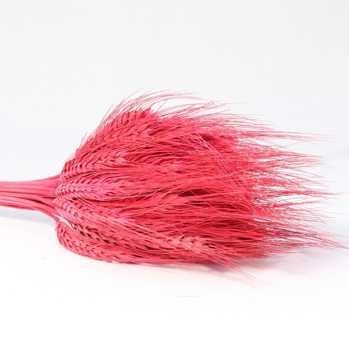 Planta Seca Trigo Colorido Vermelho 50cm