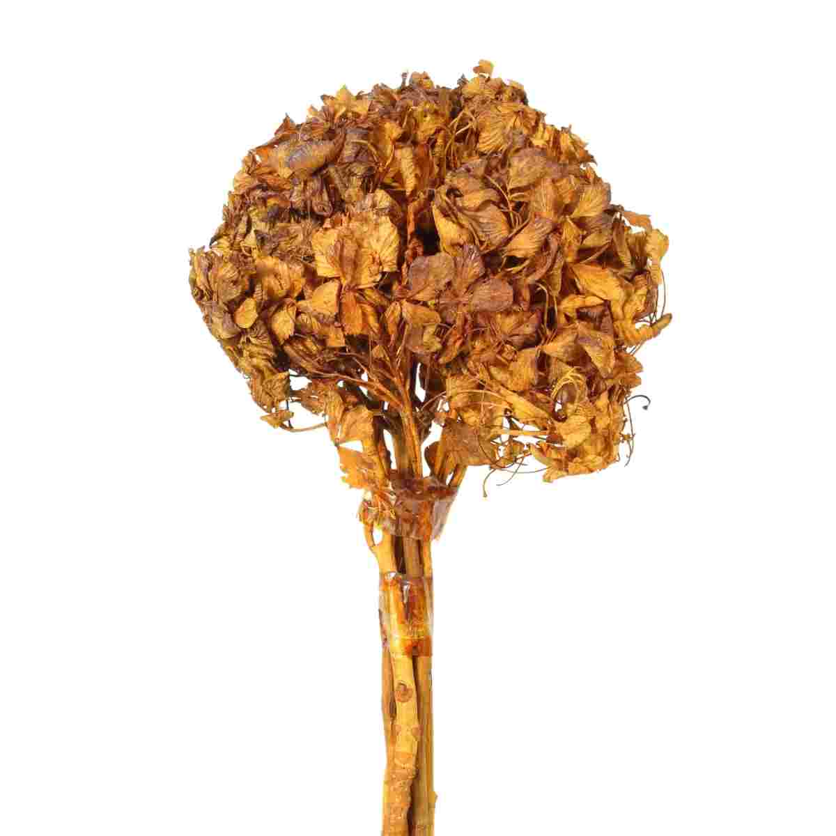 Planta Seca Hortência Laranja 40cm