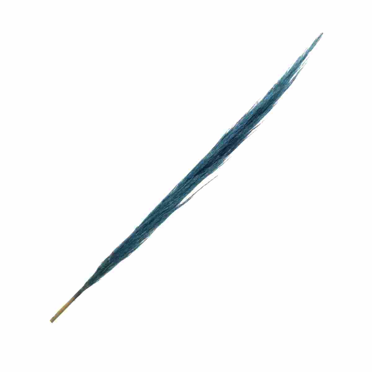 Capim Dos Pampas Azul Claro