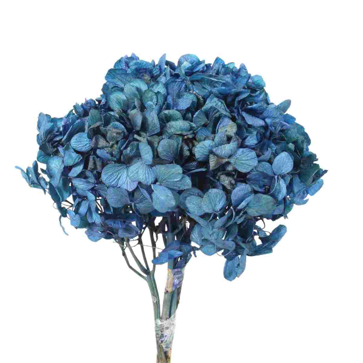 Hortência Azul Desidratado