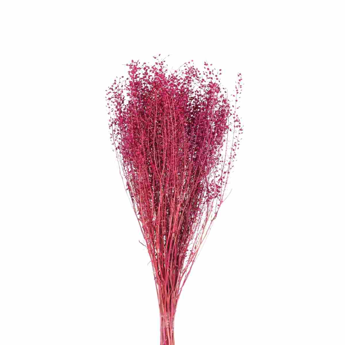 Planta Seca Sementinha Pink 50cm